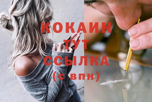СК Аркадак