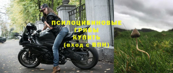 СК Аркадак