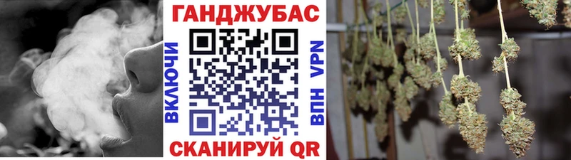 blacksprut ССЫЛКА  Сурск  МАРИХУАНА сатива 